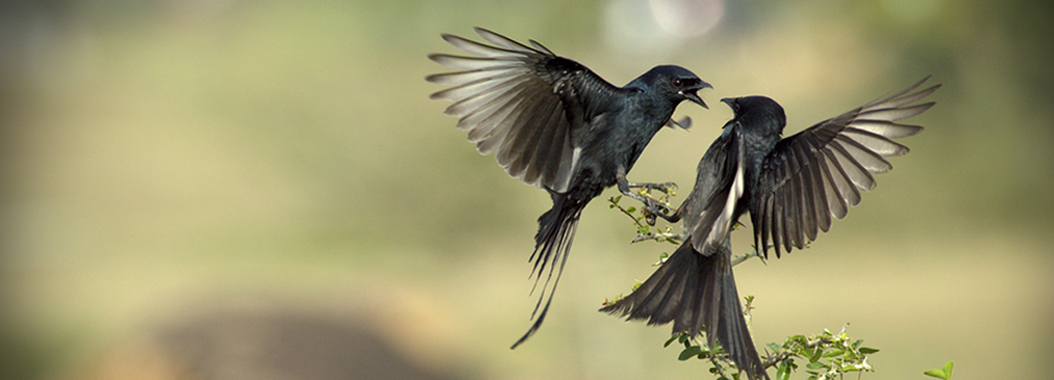 发卡网低价的怎么去攻击一个网站与防护